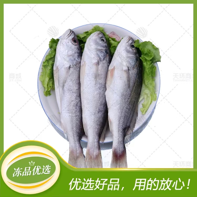 【渔宛】精选三去白菇鱼100/200（65条左右）10kg