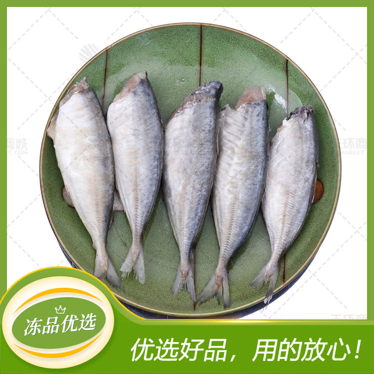 【五湖】二去沙丁鱼 60条左右 7kg