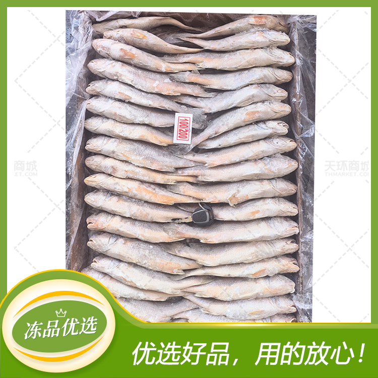 【太阳】黄菇鱼10kg （原条）