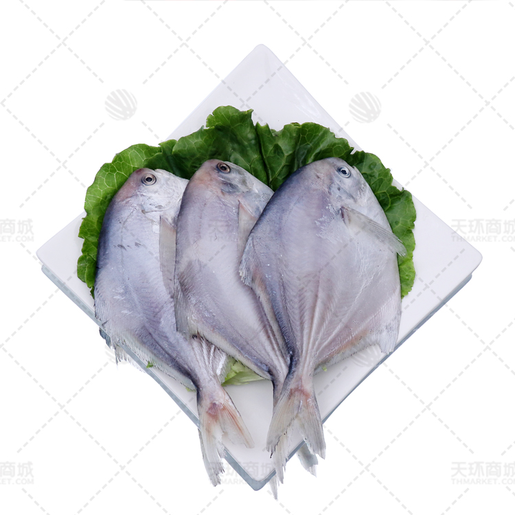 【吴金利】冷冻鲳鱼 1.8kg