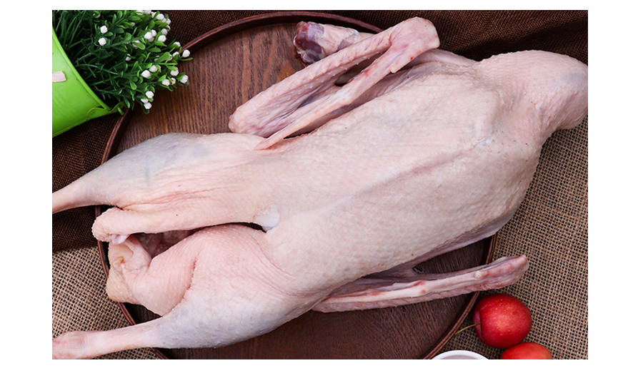 【老范】精品白条鹅/一光鹅 6只装 19.5kg/箱