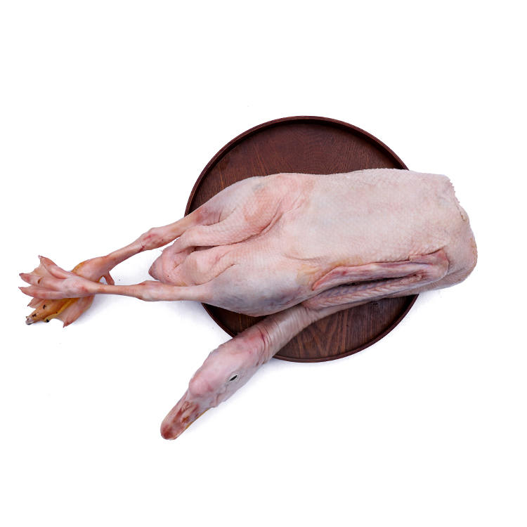 【宏熙】精品白条鹅/半老鹅 5-7只装 19.5kg/箱