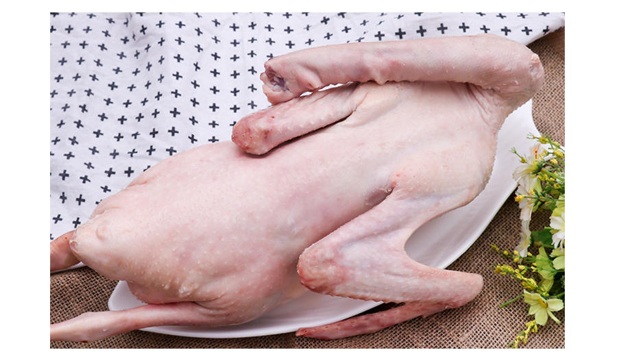 【鹤源绿】精品白条鹅/一光鹅 6只装 20kg/箱