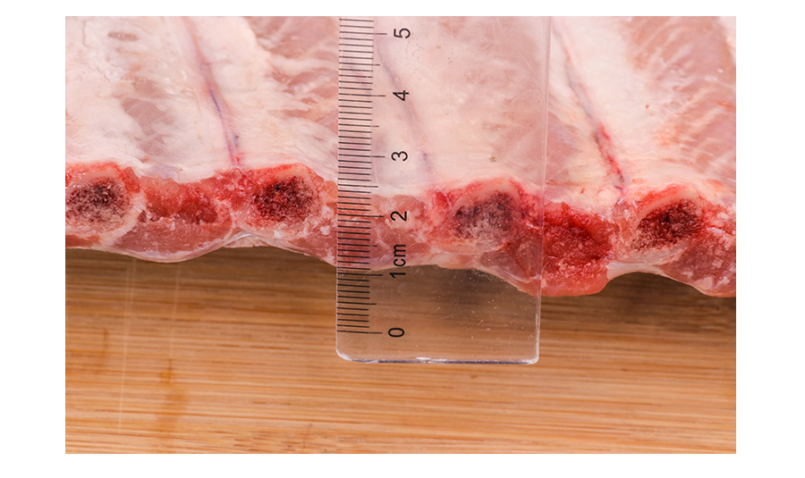 【costa brava】3935冷冻猪肋排 10kg/箱