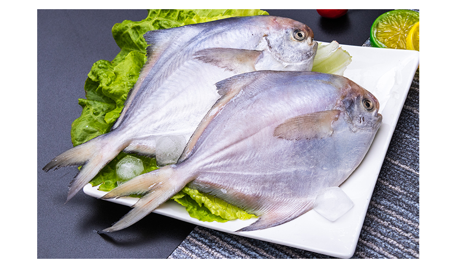 【海鲜蜂】冻鲳鱼/白鲳 18条/3两一条 3kg/箱