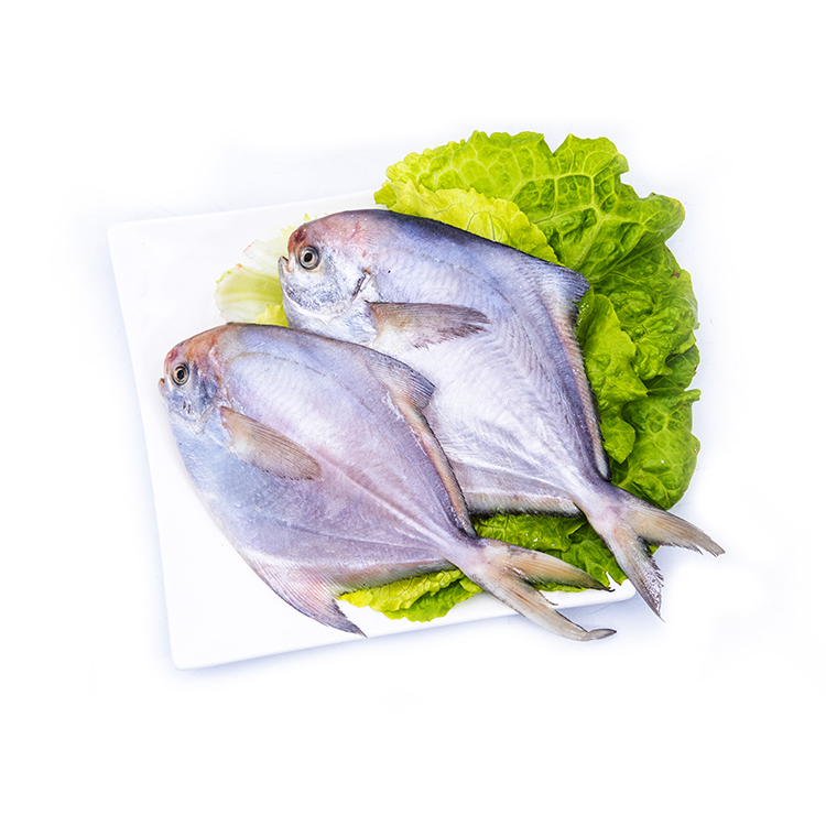 【海鲜蜂】冻鲳鱼/白鲳 18条/3两一条 3kg/箱