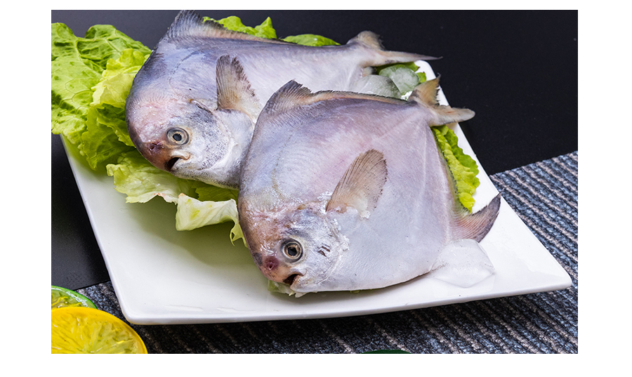 【海鲜蜂】冻鲳鱼/白鲳 18条/3两一条 3kg/箱