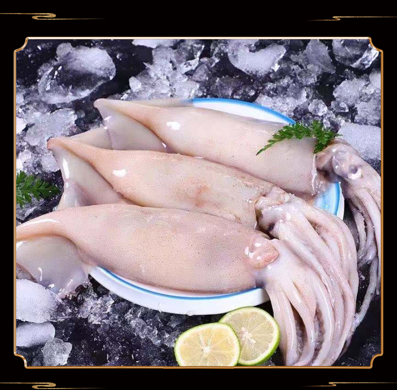 【好佳好】单冻鱿鱼 约5只 毛1.75kg/箱