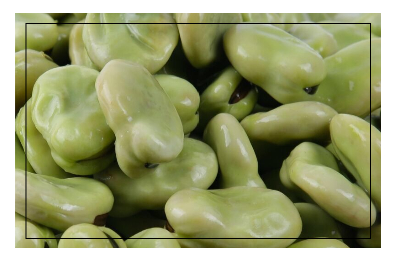 吉云青皮蚕豆1kg10包10kg箱