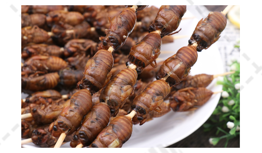 【姑苏正味】四粒金蝉串 20串*10包 5kg/箱