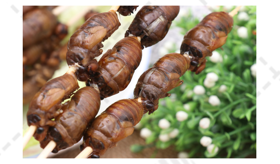 【姑苏正味】三粒金蝉串 20串*10包 5kg