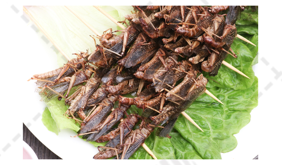 【姑苏正味】秘制蚂蚱串 20串*10包 5kg/箱